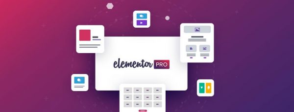 Share plugin Elementor PRO cập nhật thường xuyên