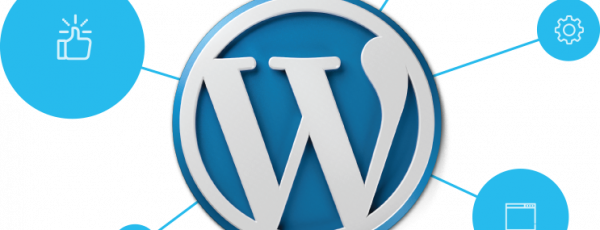 Hướng dẫn cách chọn hosting cho WordPress