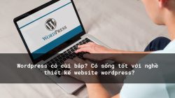 WordPress có cùi bắp? Có sống tốt với nghề thiết kế website wordpress?