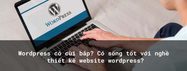 WordPress có cùi bắp? Có sống tốt với nghề thiết kế website wordpress?